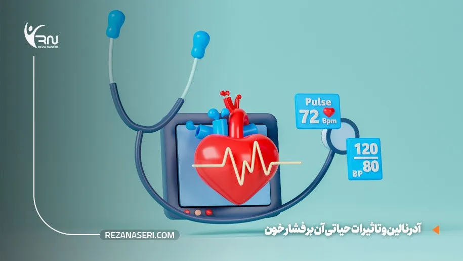 آدرنالین و فشار خون